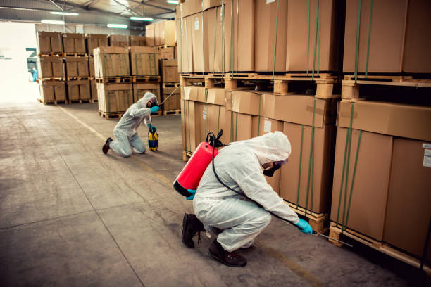 Best Best Pest Control Near Me  in New Market, AL