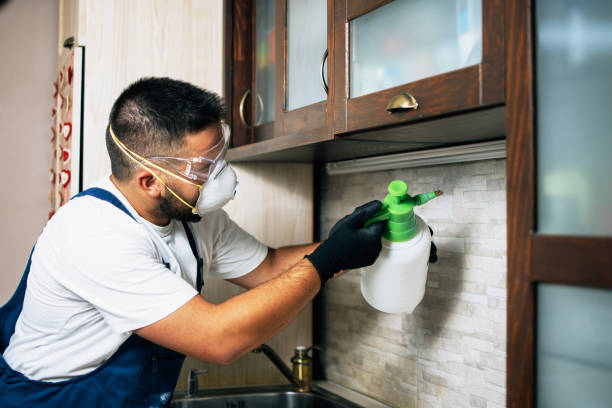 Best Pest Inspection Near Me  in New Market, AL