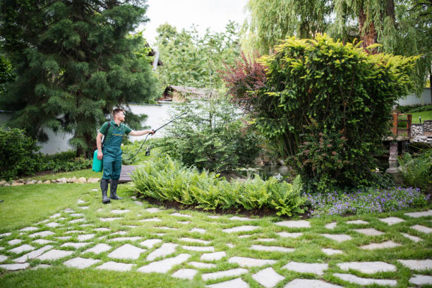 Best Affordable Pest Control Services  in New Market, AL