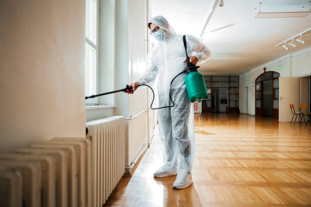 Professional Pest Control in New Market, AL