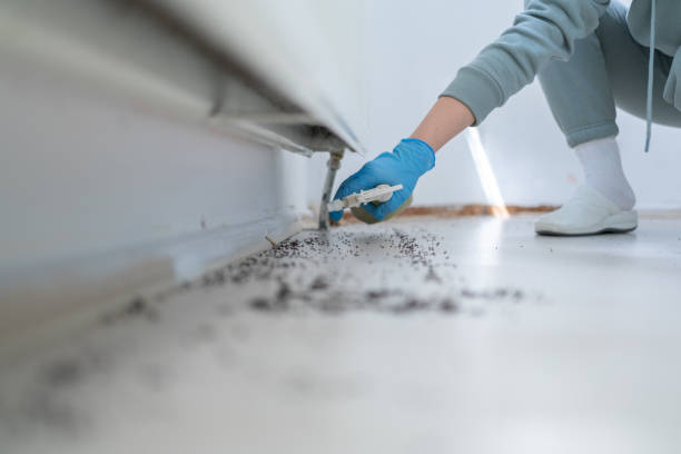Best Cockroach Control Services  in New Market, AL