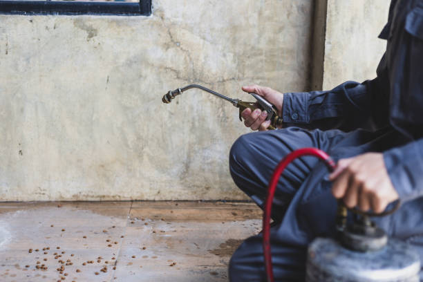 Best Emergency Pest Control  in New Market, AL